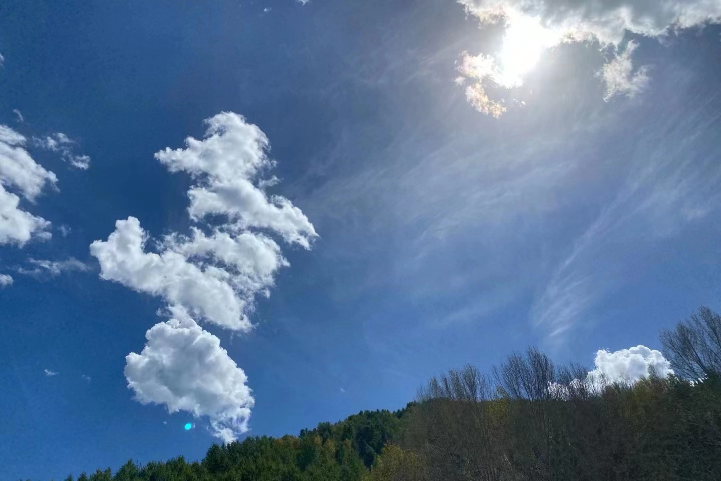 1692862882124015.jpg 7d261e79d34375a0929d76d0288507a.jpg